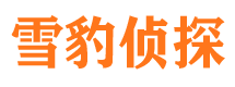 新建婚外情调查